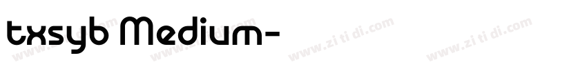 txsyb Medium字体转换
